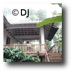 coorg2